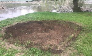 Iščupane zasađene dunje, uklonjeno Davidovo srce, a jedan detalj je jeziv